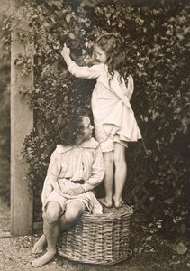 Le Jardin d